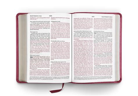 Experience Divine Insight with ESV Large Print Compact Bible